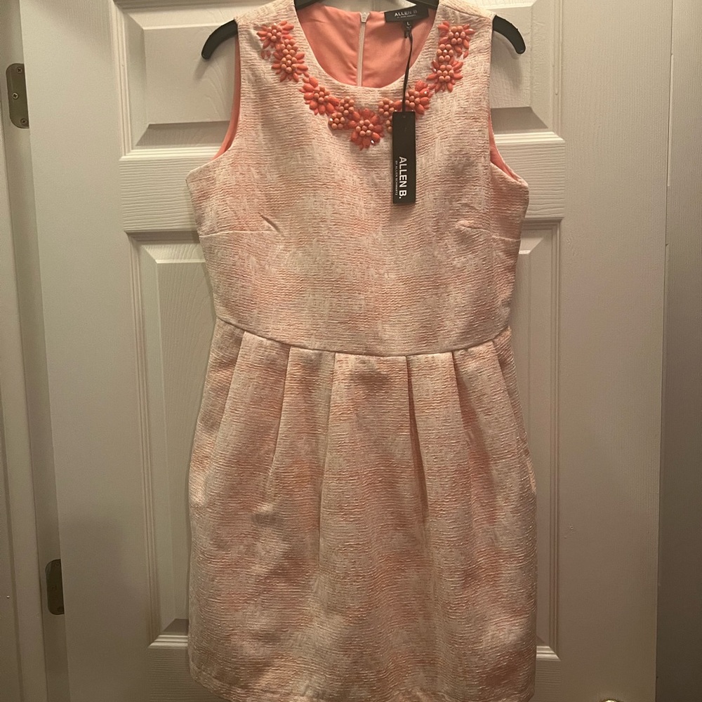 NWT Allen B pink dress with detailed neckline